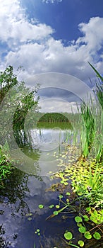 Vertical panorama of the river