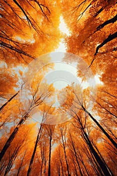 Vertical panorama, vertorama of bright autumn forest. With Generative AI technology photo