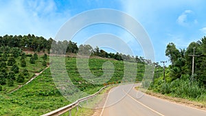 Vertical path of asphalt road and curve ahead.