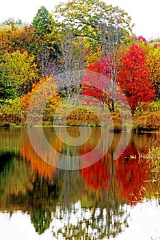 Vertical-perfect water reflections of all colors.