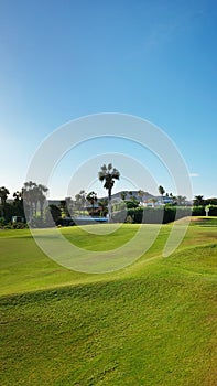 Beautiful tropical golf course fairway with palm trees, blue sky and neat green grass, in Tenerife, Canary Islands
