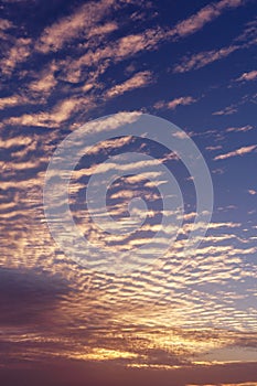 Vertical photo amazing morning sky and sunrise. Beautiful landscape with view on abstract yellow red clouds