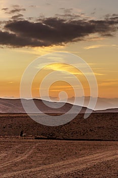 Vertical photo colorful landscape view on sunrise in middle east