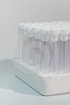 Vertical photo of empty vacuum blood test tubes in laboratory