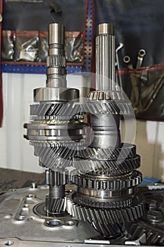 Vertical photo of the gearing of the primary and secondary shafts of the mechanical transmission of a front-wheel drive car