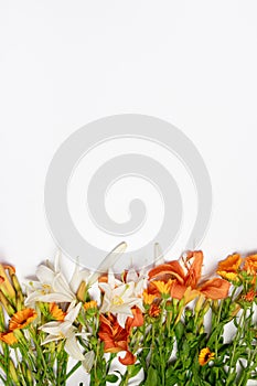 Vertical photo with orange flowers royal crown lily with a place for text on a white background. Greeting card