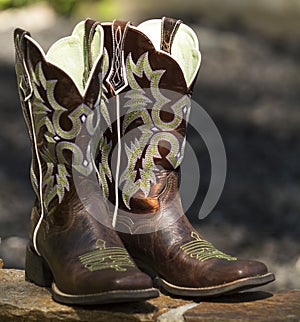 Fancy Western Boots