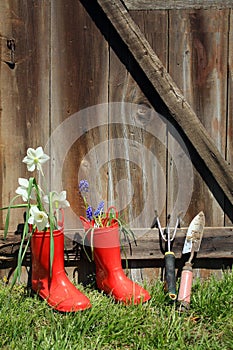 Vertical photo of red boots with flowers on wood