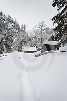Vertical photo of snow covered and frozen wooden cabins in the middle of mountain forest with stream on background in winter.