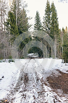 Vertical photo of track in winter forest