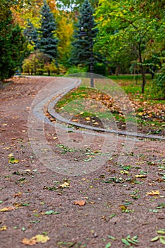 Vertical photography of autumn park walking trail road with orange and yellow colors of October day time