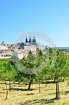 Vertical photography of Czech capital Prague shot from Petrin hill with green park. Prague Castle and St. Vitus Cathedral are