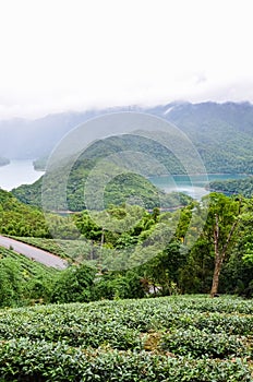 Vertical photography of magnificent Thousand Island Lake in Taiwan, Asia. The lake is surrounded by tea plantation and tropical