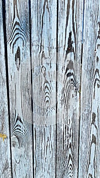 vertical photography, old wood, derivative texture, white paint, on wood, photo