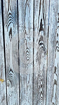 vertical photography, old wood, derivative texture, white paint, on wood,