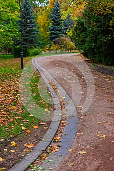 vertical photography of parkland narrow curved foot path way for walking in peaceful outdoor environment space in autumn time