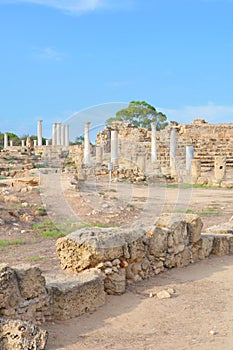 Vertical photography of the ruins of ancient Greek city-state Salamis taken with blue sky above