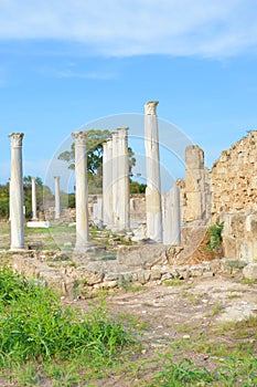 Vertical photography of well preserved Corinthian columns that are part of Salamis ruins in Turkish Northern Cyprus