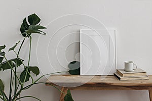 Vertical picture frame mockups on vintage wooden bench, table. Cup of coffee, tea on pile of books. Green monstera