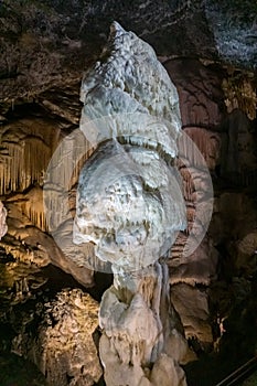 Vertical picture of a giant white stalagmite inside Postojna cave.