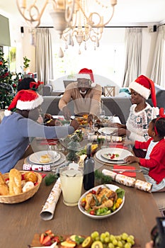 Vertical picture of happy african american family spending time together and having christmas meal