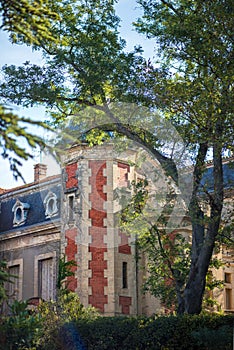 Vertical picture of old stone chateau, vineyard in french, in Chateauneuf-du-Pape, famous wine province in Provence, France.