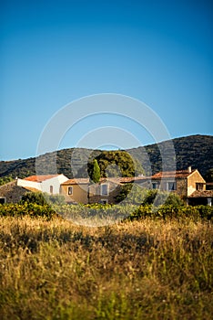Vertical picture of old traditional stone provencale farmyard in Provence, France with Luberon hill on background in hot summer