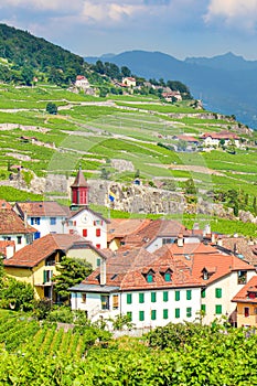 Vertical picture of picturesque village Rivaz located on slopes by Geneva Lake, Switzerland. Swiss summer. Lavaux wine region,