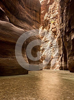 Vertical picture of River Canyon of Wadi Mujib with light on end photo