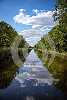 Vertical of a picturesque natural scenery with the reflection of leafy trees on a mirror lake