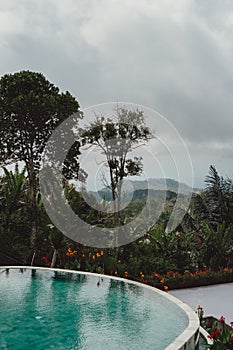 Vertical of a pool with the view of a jungle on a cloudy day