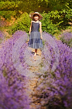 Vertical portrait of happy cute little girl wearing blue dress and white hat and walking in lavender field with violet flowers