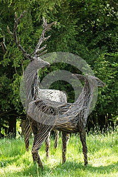 Vertical portrait of red stags from wicker photo