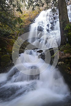 Vertical Portrait of Scenic Vine Creek Cascading Waterfall