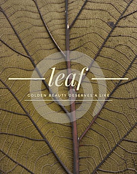 Vertical poster 'leaf golden beauty deserves a like'