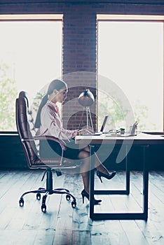 Vertical profile side view of her she nice attractive elegant trendy stylish lady shark founder writing email preparing