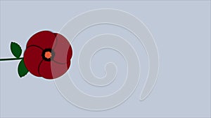 Vertical Red Poppy Flower Animation