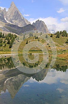 Vertical reflection of Aiguille noire