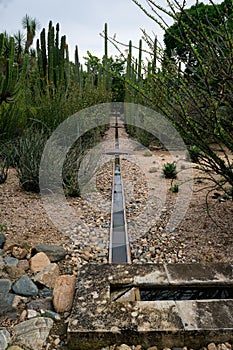 Vertical of a road in the Ethnobotanical Garden of Oaxaca, Mexico. photo