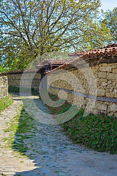 Vertical rural scene of walls and plants along the road in a town