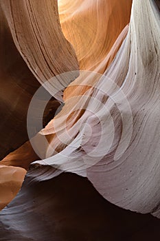 Vertical sandstone wall, Lower Antelope Canyon, Hasdestwazi, LeChee Chapter, Navajo Nation, Arizona photo