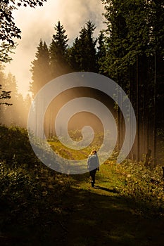 Vertical scenic back view of a lonely traveler walking in the lush forest under the sunlight rays