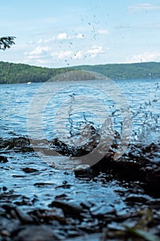 Vertical scenic view of the lake and a flock of the birds flying in a blue sky on a background