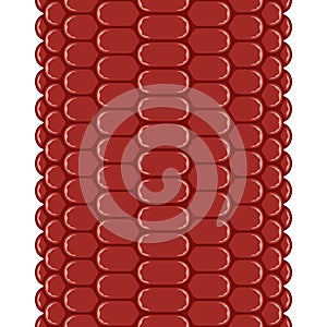 Vertical seamless pattern with corn cob texture, maize