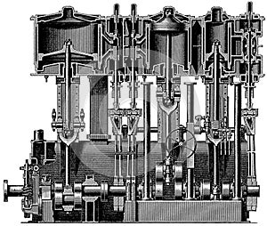Vertical section along crankshaft. Ship engine triple expansion engine.