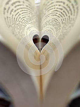 Vertical selective focus of a heart made of book pages