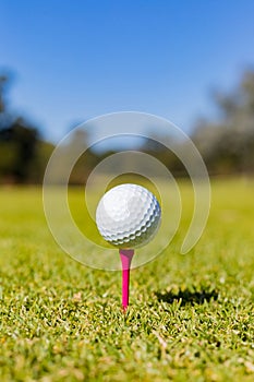 Vertical shallow focus of a golf ball on a tee at a ourse