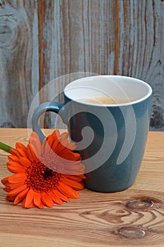 Vertical shallow focus shot of an orange Barberton Daisy flower lying next to a blue mug of coffee