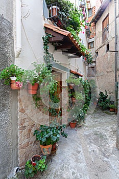 Verticalmente de callejón de viejo edificios decorado flores en 