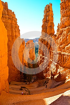 Vertical shot of the amazing Bryce Canyon National Park in Utah, USA